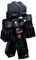 Skinfile
