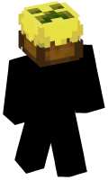 Skinfile