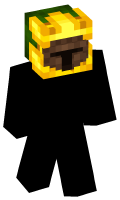 Skinfile