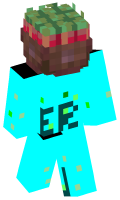 Skinfile