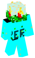 Skinfile