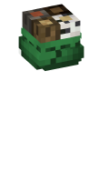 Skinfile