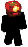 Skinfile