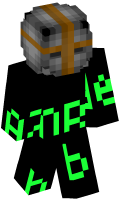 Skinfile