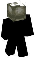 Skinfile