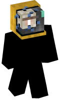 Skinfile