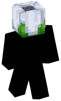 Skinfile