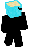 Skinfile
