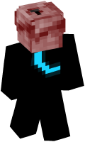 Skinfile