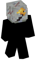 Skinfile