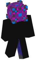 Skinfile