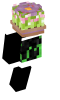 Skinfile