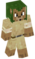 Skinfile