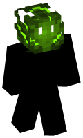 Skinfile
