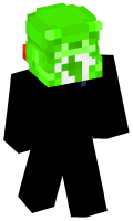 Skinfile