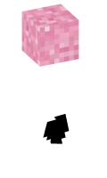 Skinfile