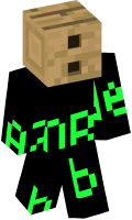 Skinfile