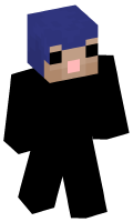 Skinfile