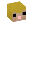 Skinfile