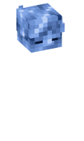 Skinfile