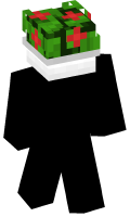 Skinfile
