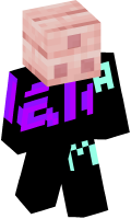 Skinfile