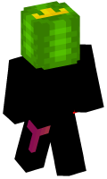 Skinfile