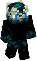 Skinfile