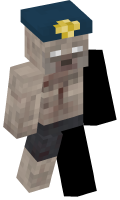 Skinfile