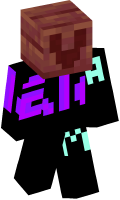 Skinfile