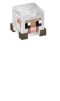 Skinfile