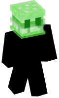 Skinfile