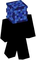 Skinfile