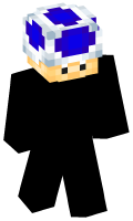 Skinfile