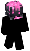Skinfile