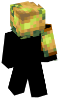 Skinfile
