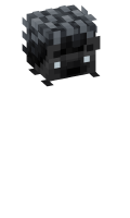 Skinfile