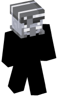 Skinfile