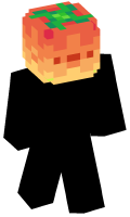 Skinfile