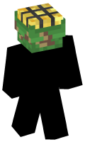 Skinfile
