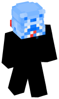 Skinfile