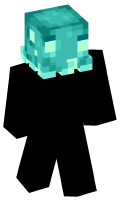 Skinfile