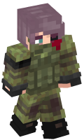 Skinfile