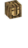 Skinfile