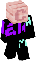 Skinfile