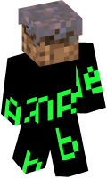 Skinfile