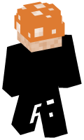 Skinfile