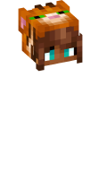 Skinfile