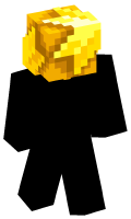 Skinfile