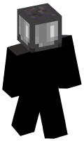 Skinfile